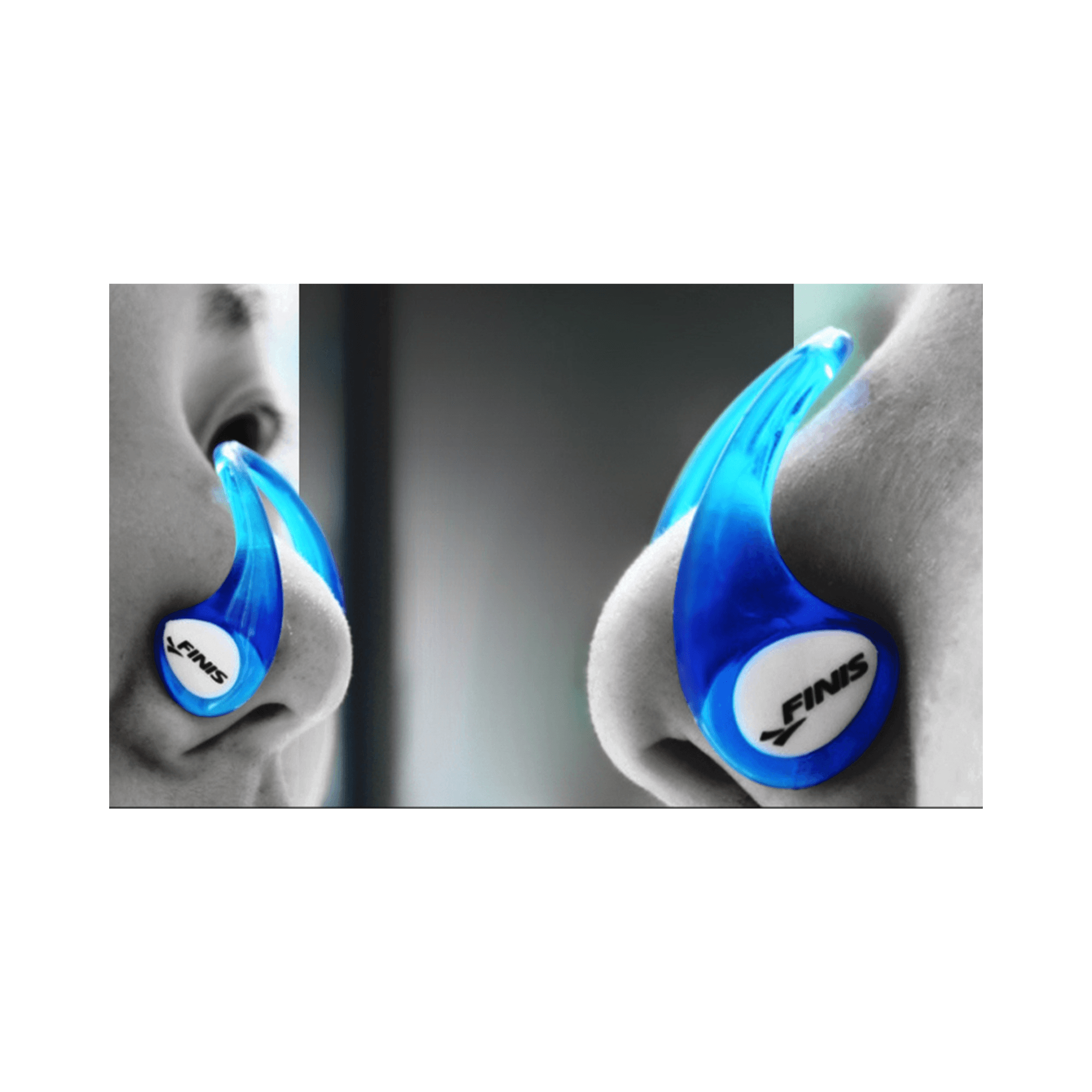 Naricera Finis Adulto