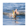 Snorkel Original Swimmers Finis Adulto Snorkel Original Swimmers Finis Adulto